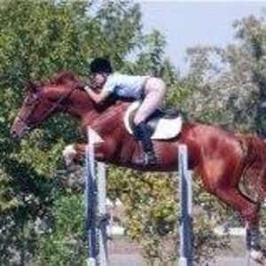 Meet your Posher, Karen